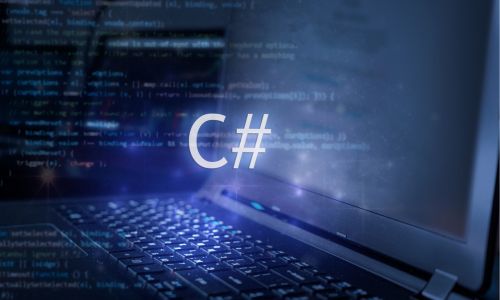 C# Software Developer
