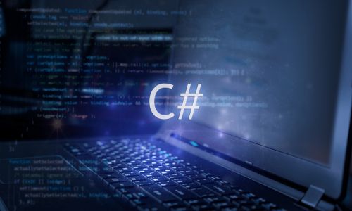 Intermediate Full Stack C# Developer
