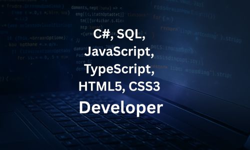Junior Full Stack Developer