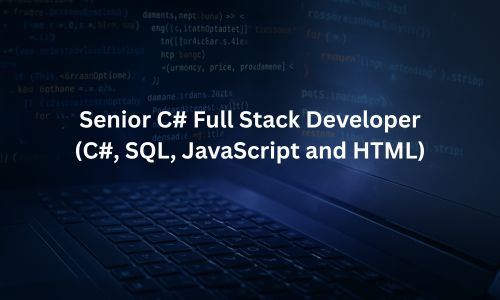 Senior C# Full Stack Developer
