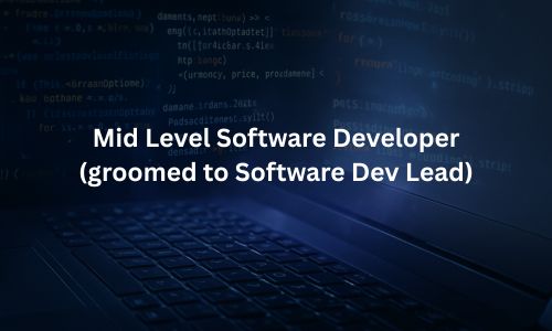 Mid Level Software Developer