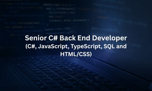Senior C# Back End Developer