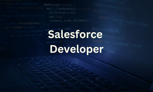 Salesforce Developer